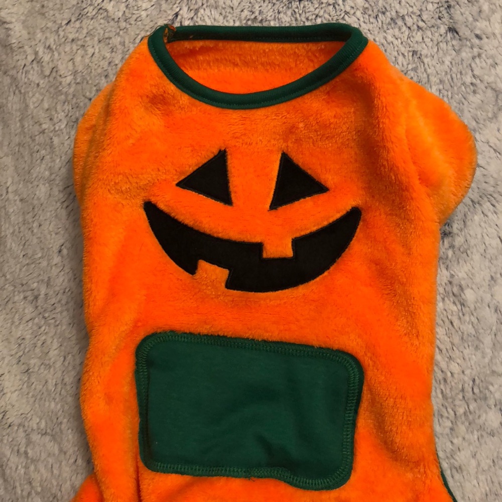 Small dogs costume/pjs